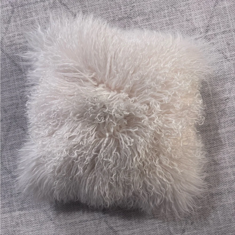 West Elm Mongolian Lamb Pillow Cover + Insert - 16x16